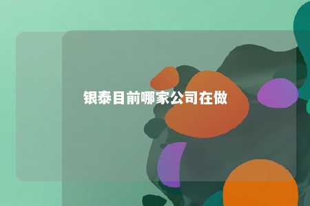 银泰目前哪家公司在做 